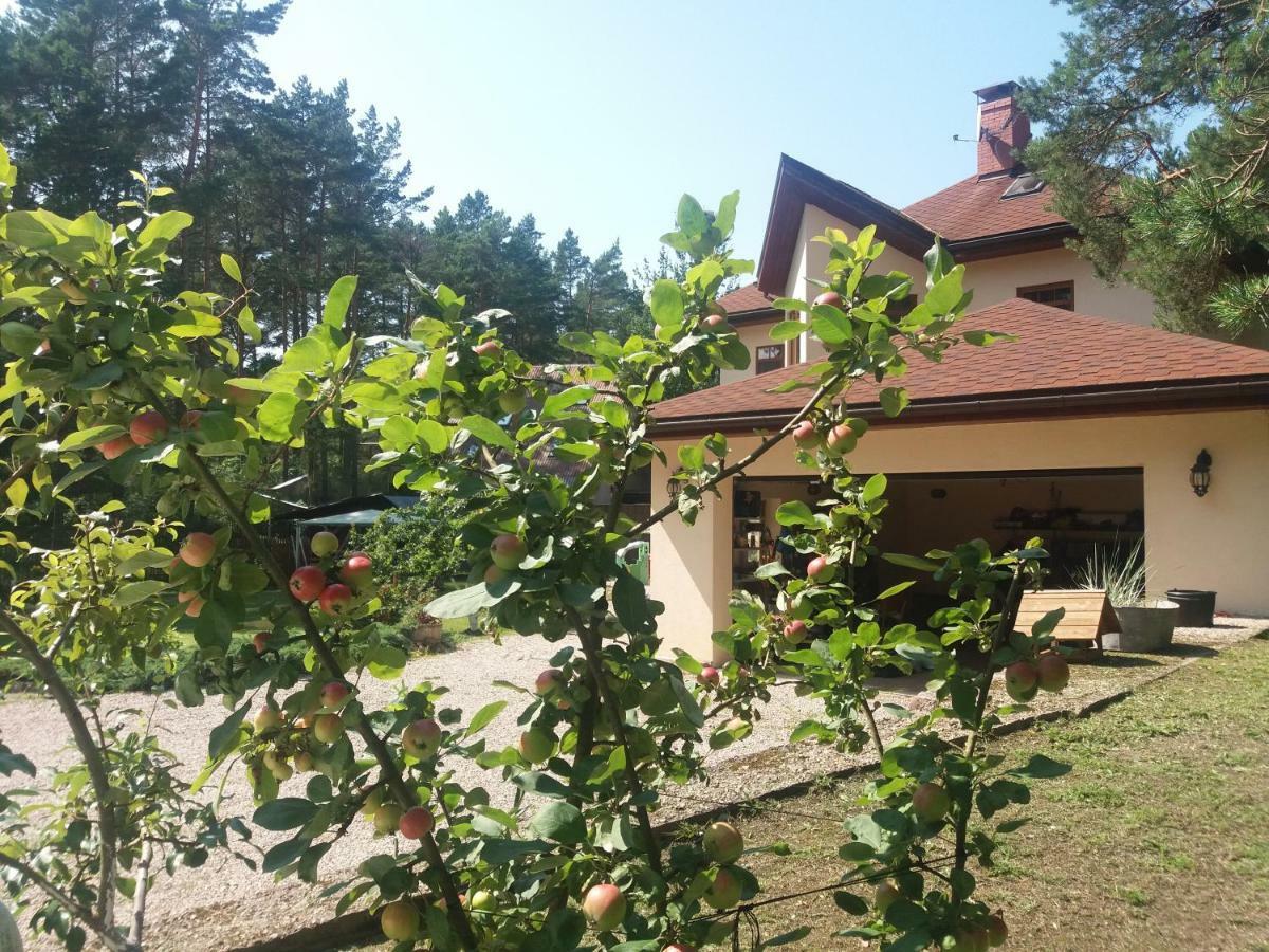 Saulesdarzs Βίλα Ragaciems Εξωτερικό φωτογραφία